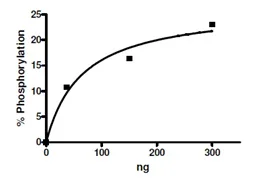 Functional Studies - Recombinant human MEKK2 protein (GST tag N-Terminus) (AB135009)