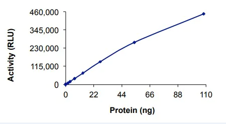 Functional Studies - Recombinant human MEKK3 protein (AB85297)