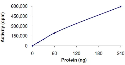 Functional Studies - Recombinant human MELK protein (AB102551)