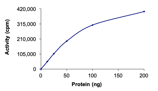 Recombinant human MELK protein