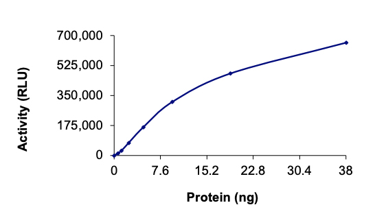 Functional Studies - Recombinant human MELK protein (Active) (AB204155), expandable thumbnail