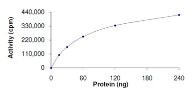Functional Studies - Recombinant human MERTK (mutated A708S) protein (AB167957)