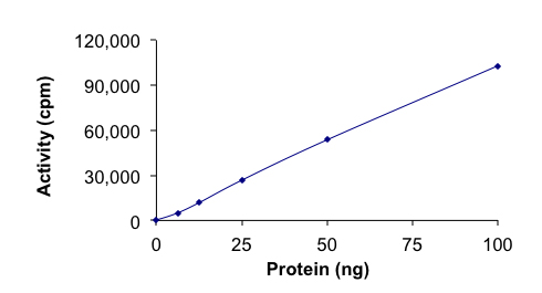 Recombinant human MERTK protein (Active)