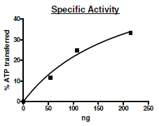 Functional Studies - Recombinant human MERTK protein (Active) (GST tag N-Terminus) (AB271471)