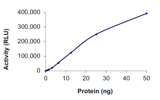 Functional Studies - Recombinant human Met (c-Met) (mutated D1228G) protein (Active) (AB268761), expandable thumbnail