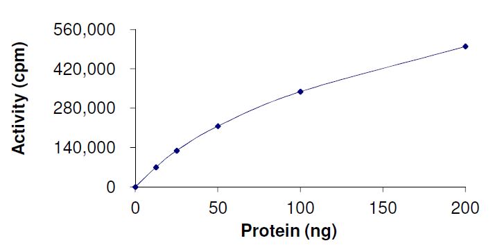 Functional Studies - Recombinant human Met (c-Met) (mutated D1228H) protein (Active) (AB268762)