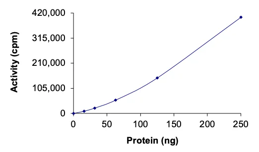 Functional Studies - Recombinant human Met (c-Met) (mutated D1228N) protein (AB185270)
