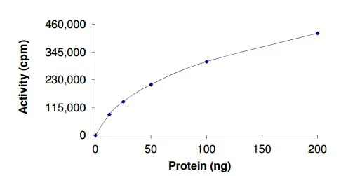 Functional Studies - Recombinant human Met (c-Met) (mutated D1228N) protein (AB185270)