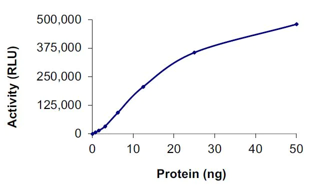 Functional Studies - Recombinant human Met (c-Met) (mutated D1228Y) protein (Active) (AB268764)