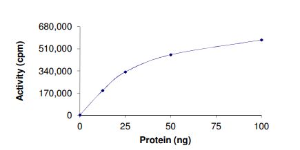 Recombinant human Met (c-Met) (mutated F1200I) protein (Active)