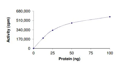 Functional Studies - Recombinant human Met (c-Met) (mutated F1200I) protein (Active) (AB268766)