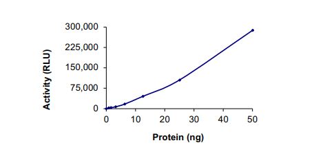 Functional Studies - Recombinant human Met (c-Met) (mutated G1163R) protein (Active) (AB268767), expandable thumbnail