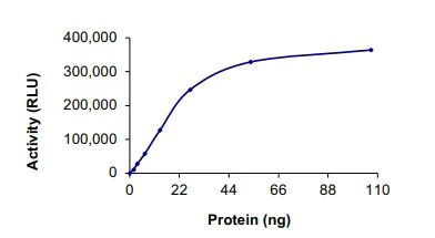 Functional Studies - Recombinant human Met (c-Met) (mutated L1195V) protein (Active) (AB268772)