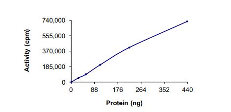 Recombinant human Met (c-Met) (mutated M1250I) protein (Active)