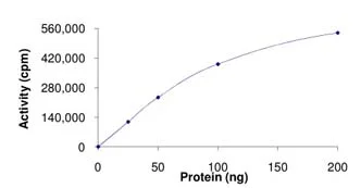 Functional Studies - Recombinant human Met (c-Met) (mutated M1250T) protein (GST tag N-Terminus) (AB119729)