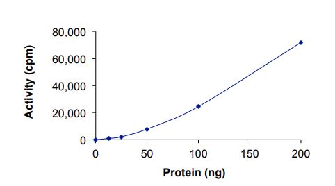 Recombinant human Met (c-Met) (mutated R970C) protein (Active)