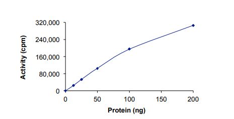 Recombinant human Met (c-Met) (mutated Y1230A) protein (Active)