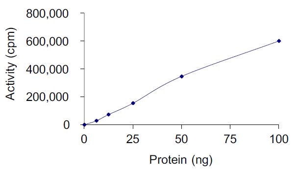 Functional Studies - Recombinant human Met (c-Met) (mutated Y1230C) protein (Active) (AB268779), expandable thumbnail