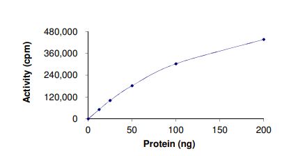 Recombinant human Met (c-Met) (mutated Y1230D) protein (Active)