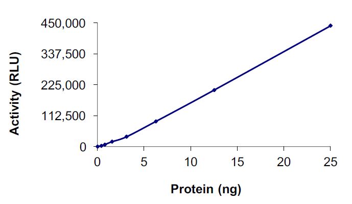 Recombinant human Met (c-Met) (mutated Y1230H) protein (Active)