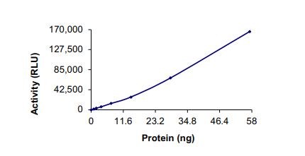 Functional Studies - Recombinant human Met (c-Met) (mutated Y1230S) protein (Active) (AB268782), expandable thumbnail