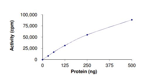 Recombinant human Met (c-Met) (mutated Y1235D) protein (Active)