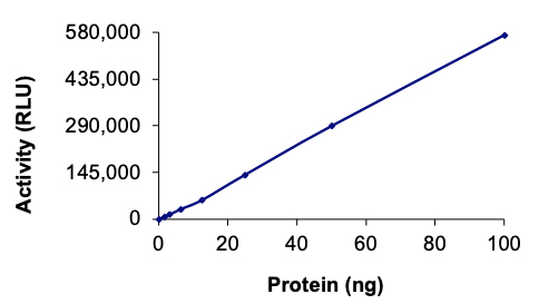 Functional Studies - Recombinant human Met (c-Met) protein (AB84806), expandable thumbnail