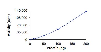 Recombinant human Met (c-Met) protein Del Ex14 (Active)