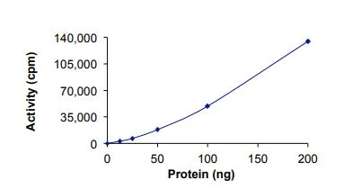 Functional Studies - Recombinant human Met (c-Met) protein Del Ex14 (Active) (AB268765)