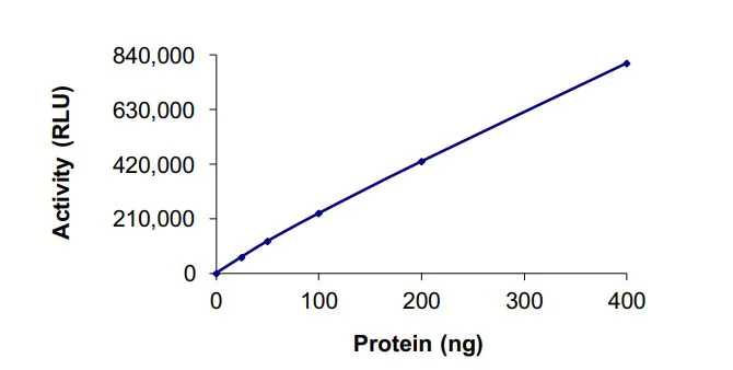 Functional Studies - Recombinant human METTL3 + METTL14 protein (Active) (AB268789)