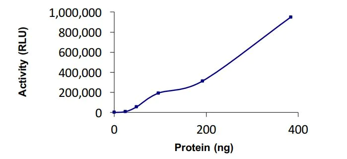 Functional Studies - Recombinant human MGRN1 protein (Active) (AB268790)