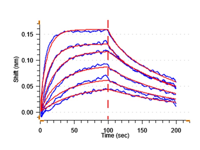 Biological Activity - Recombinant Human MICA Protein (His-tag) (Active) (AB307786), expandable thumbnail