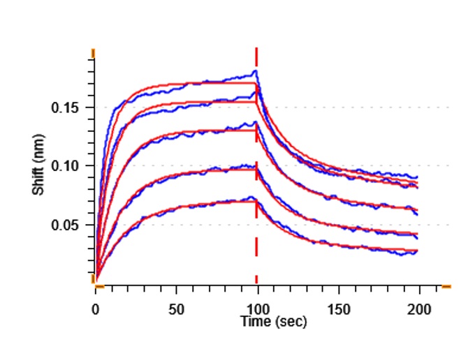 Biological Activity - Recombinant Human MICB Protein (His-tag) (Active) (AB307787), expandable thumbnail