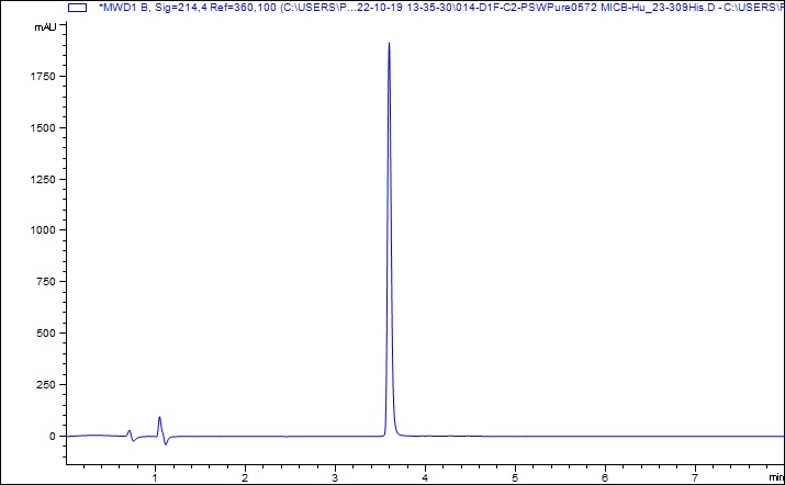 HPLC - Recombinant Human MICB Protein (His-tag) (Active) (AB307787), expandable thumbnail