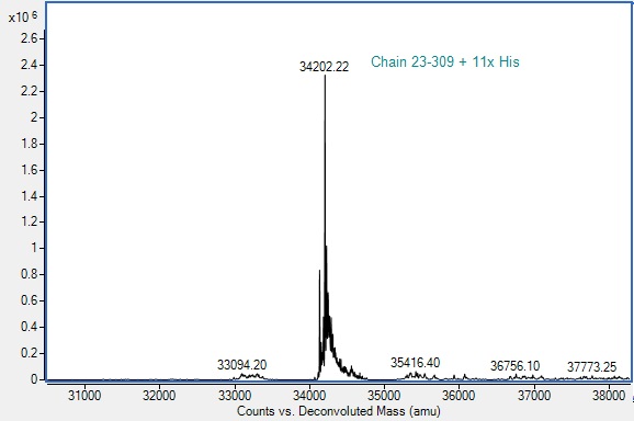 Mass Spectrometry - Recombinant Human MICB Protein (His-tag) (Active) (AB307787), expandable thumbnail
