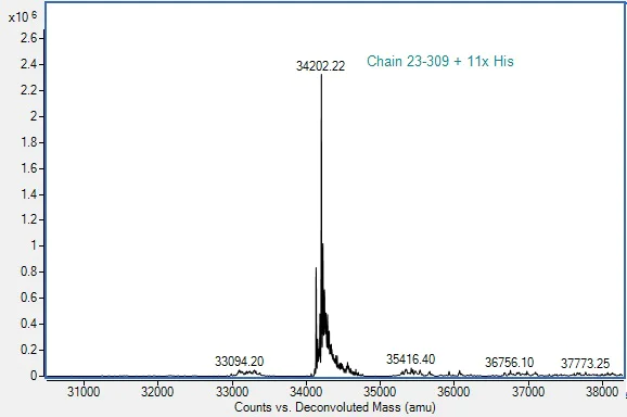 Mass Spectrometry - Recombinant Human MICB Protein (His-tag) (Active) (AB307787)