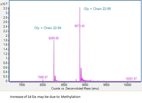 Mass Spectrometry - Recombinant Human MIP-3 beta/CCL19 Protein (AB307796)