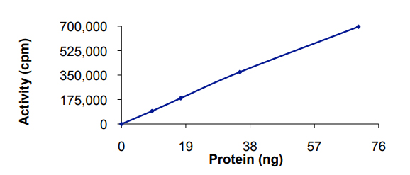 Functional Studies - Recombinant human MK-3 protein (AB60308)