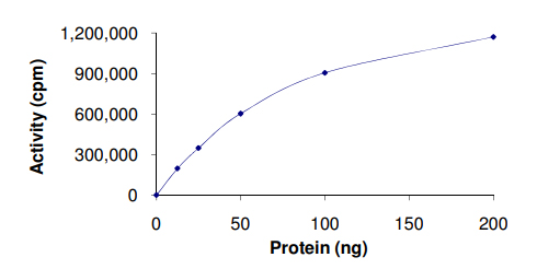 Functional Studies - Recombinant human MK2 protein (AB60307), expandable thumbnail
