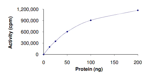 Functional Studies - Recombinant human MK2 protein (GST tag N-Terminus) (AB60307)