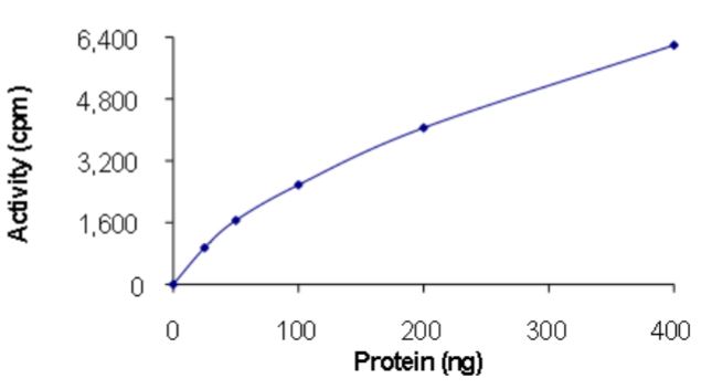 Functional Studies - Recombinant human MKK7 protein (Active) (AB268757), expandable thumbnail