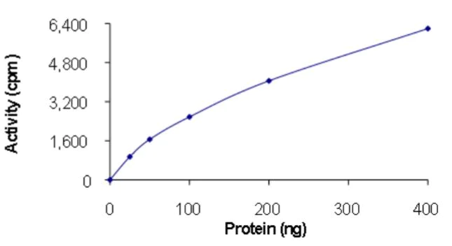 Functional Studies - Recombinant human MKK7 protein (Active) (AB268757)