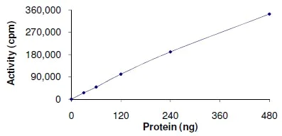 Functional Studies - Recombinant human MLK2 protein (AB125562)