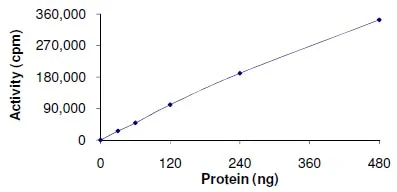 Functional Studies - Recombinant human MLK2 protein (GST tag N-Terminus) (AB125562)