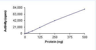 Functional Studies - Recombinant human MLK3 protein (AB125630)