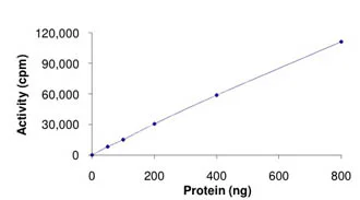 Functional Studies - Recombinant human MLK3 protein (GST tag N-Terminus) (AB125630)