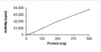 Functional Studies - Recombinant human MLK3 protein (GST tag N-Terminus) (AB125630)