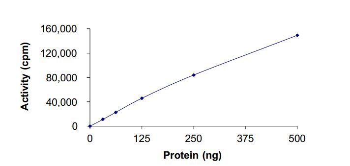Functional Studies - Recombinant human MLK4 protein (Active) (AB268798)