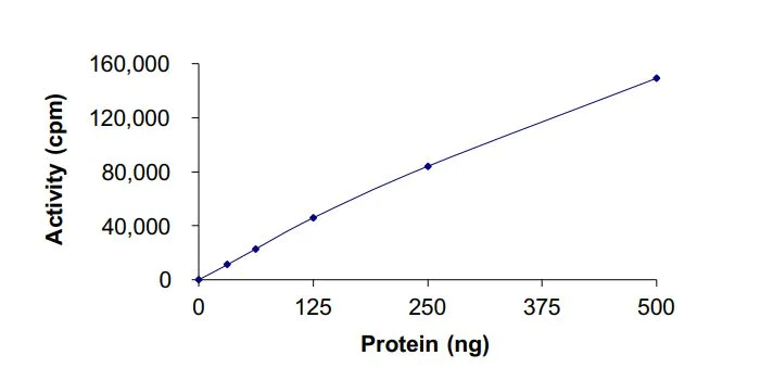 Functional Studies - Recombinant human MLK4 protein (Active) (AB268798)