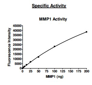 Recombinant human MMP1 protein (Active)